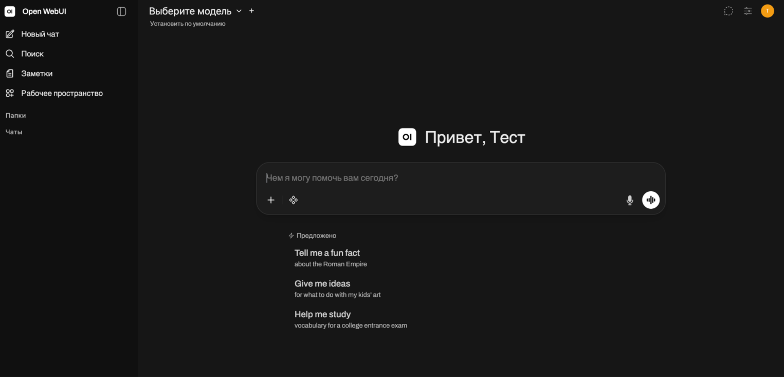 Главный рабочий интерфейс веб-приложения Open WebUI.