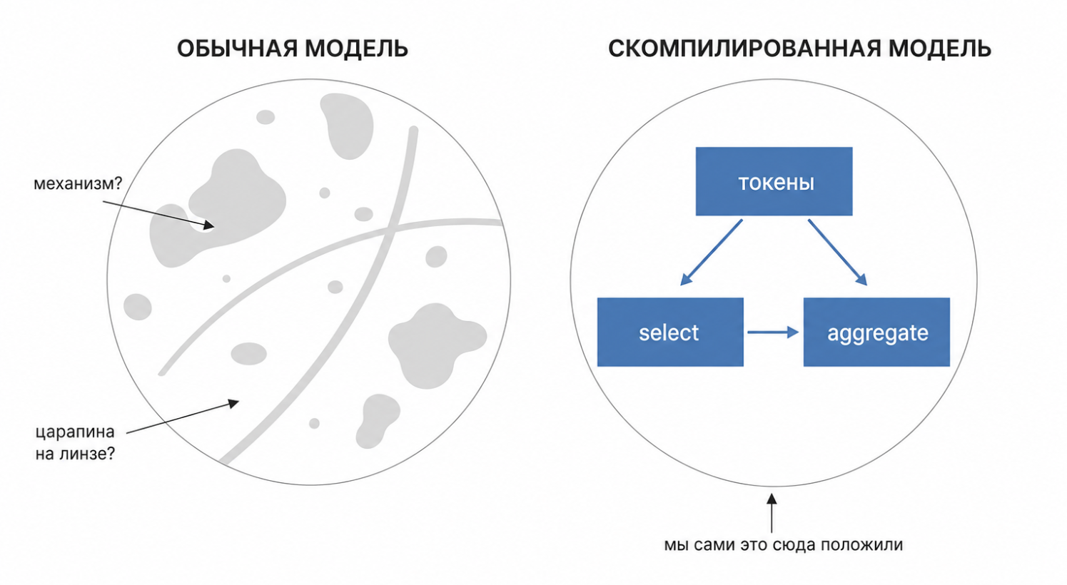 Условное сравнение того, что видит ученый под микроскопом (где-то - биологические организмы, а где-то - царапины на линзе) и что скрывается внутри компилятора.
