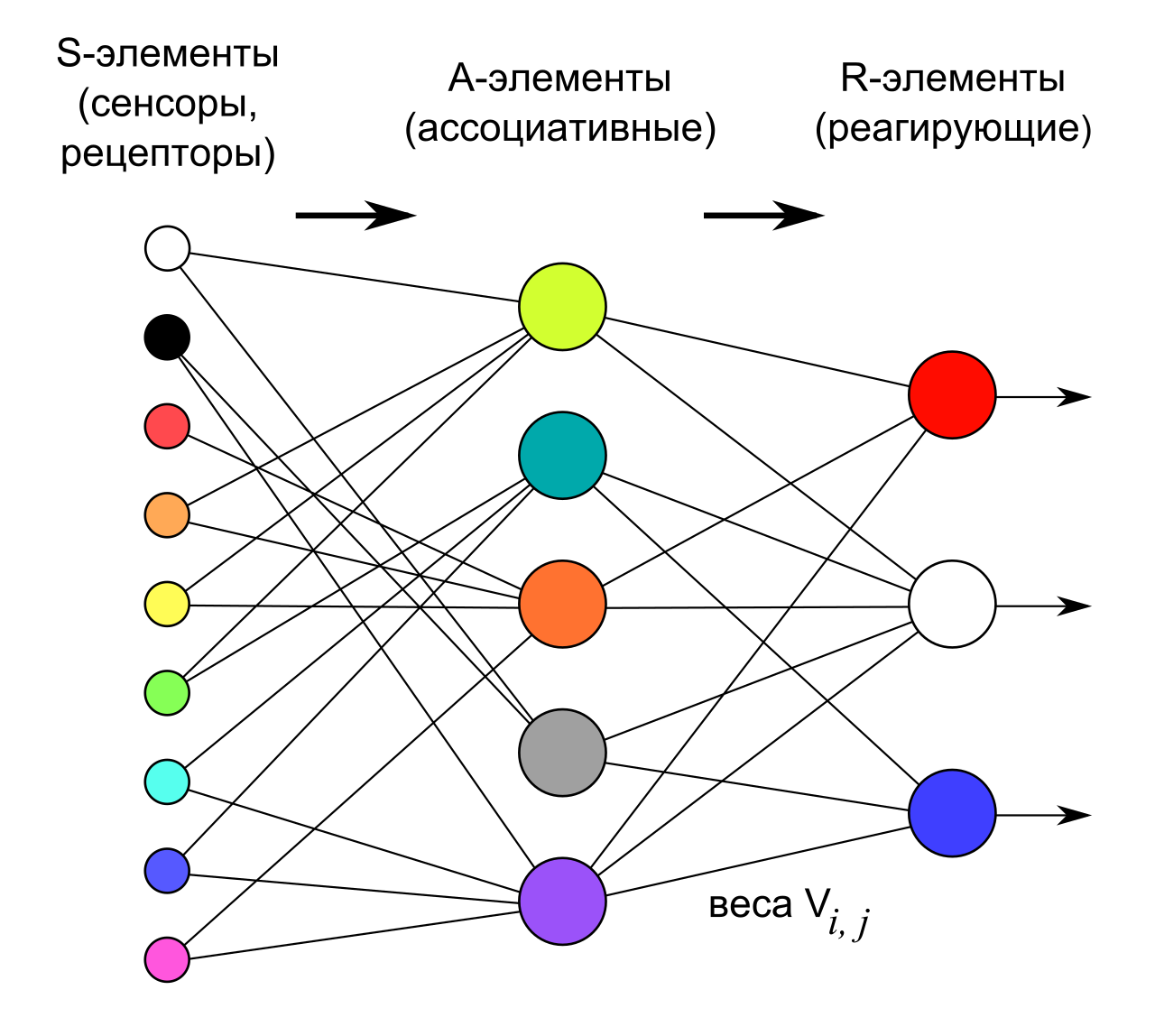 Источник Схема перцептрона.