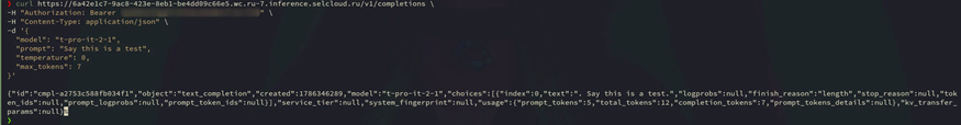 Пример выполнения curl-запроса к API модели ИИ.