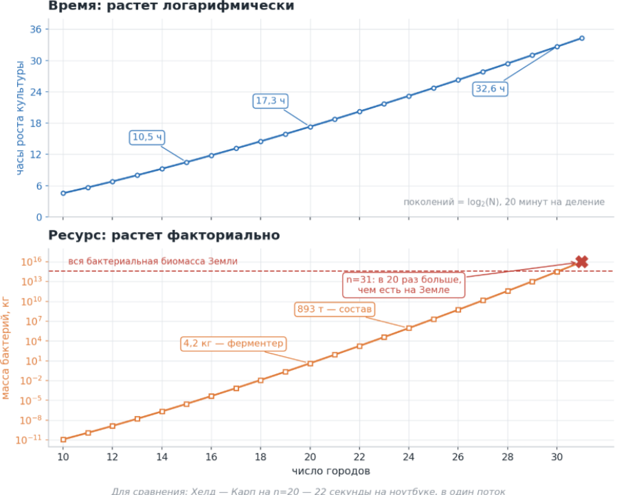 Время: растет логарифмически, а ресурс - фрактально.