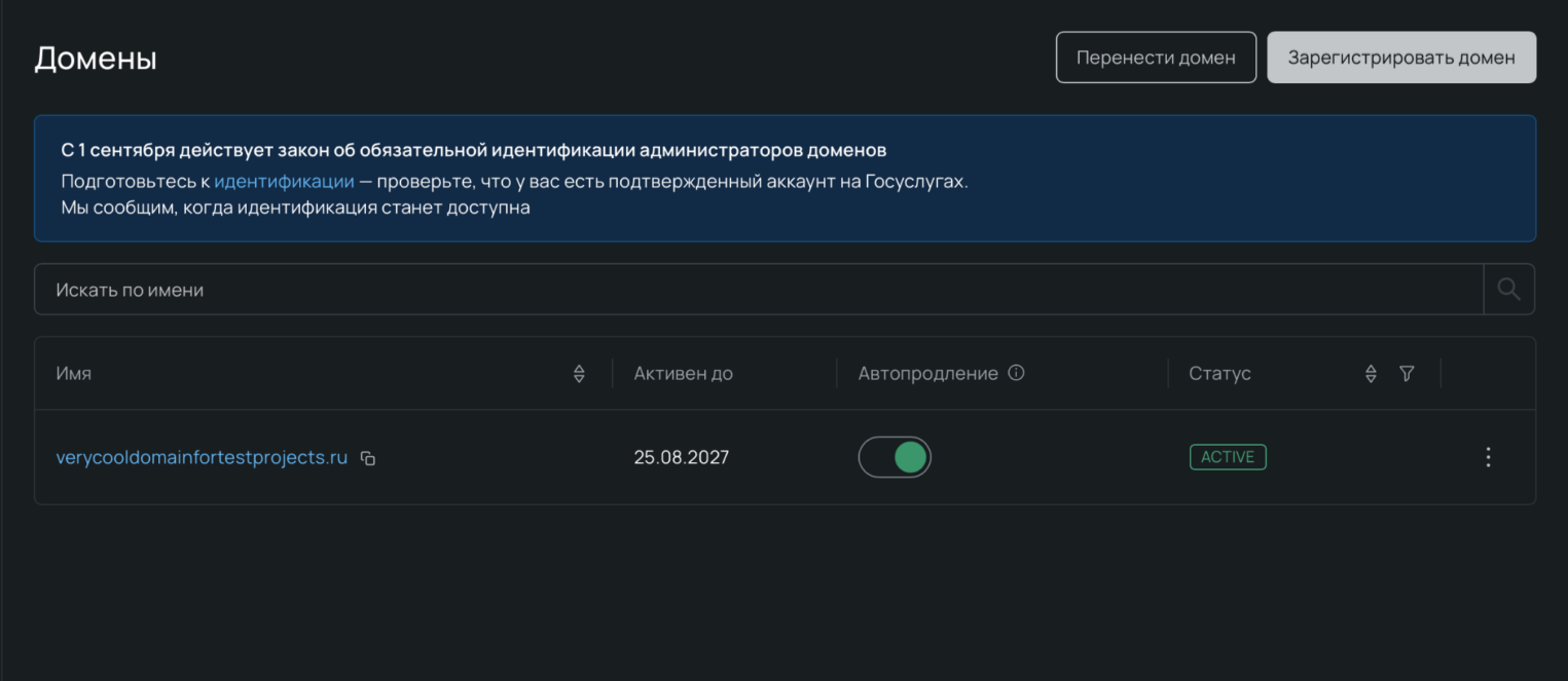 Раздел зарегистрированных доменов в панели управления Selectel.