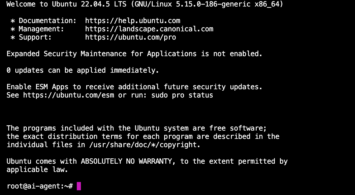 Успешное подключение к серверу по SSH и приветствие Ubuntu.
