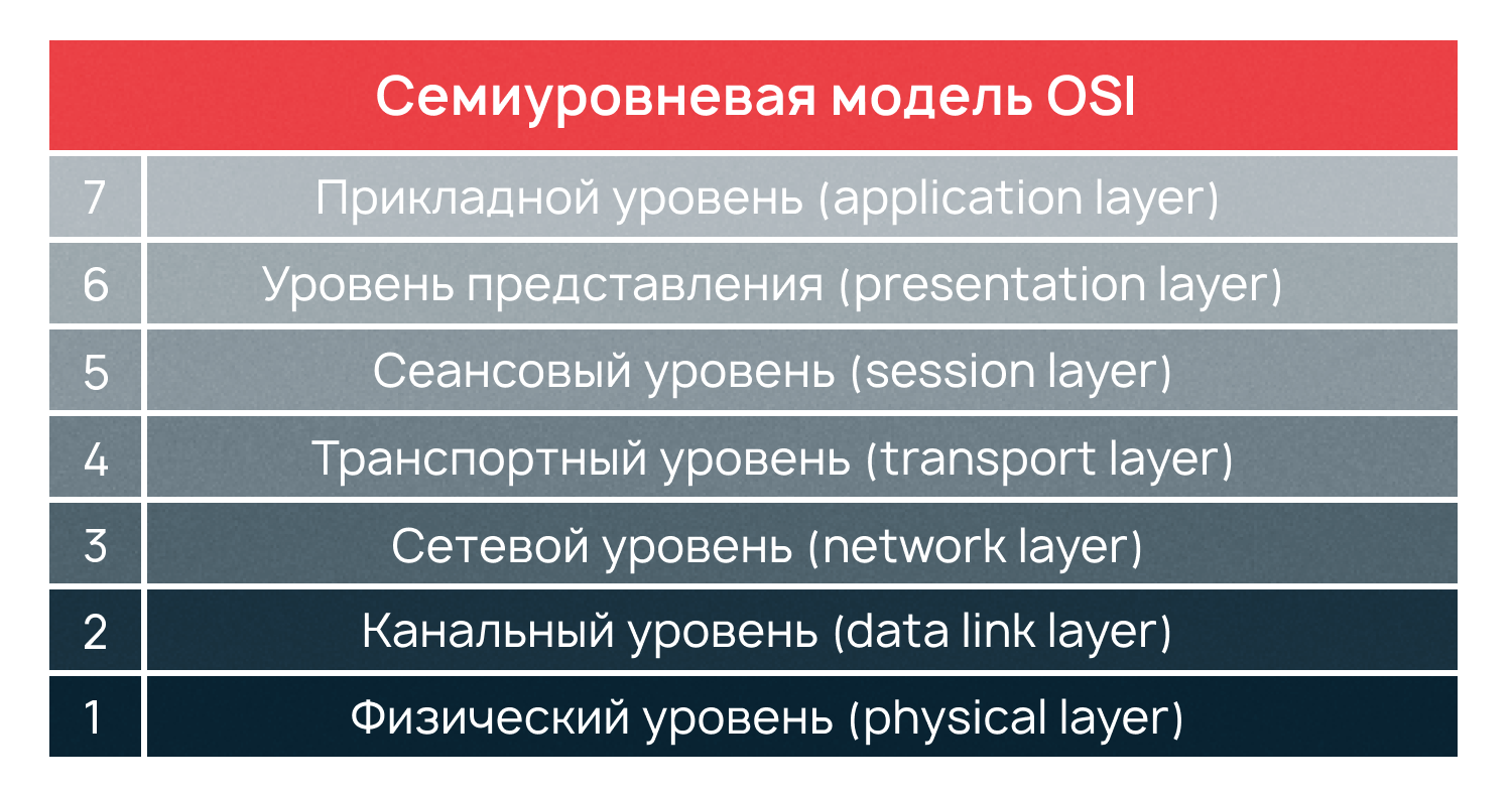 Перечисление семи уровней модели OSI.