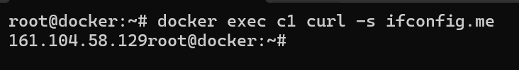 Узнаем публичный IP-адрес: выполнение HTTP-запроса через утилиту curl к сервису ifconfig.me из контейнера.