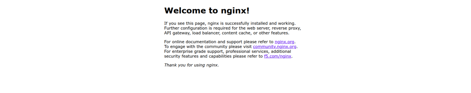 Приветственная страница nginx.